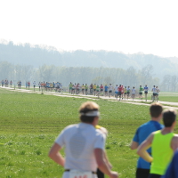 Frühlingserwachen im Mostviertel