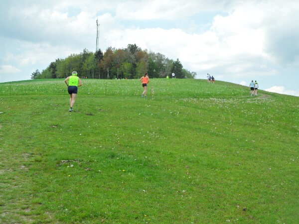 Drei Hügel Lauf in Zöbern