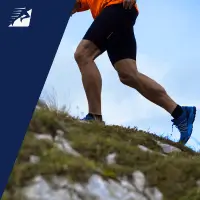 Trail Runs in Nederland - data