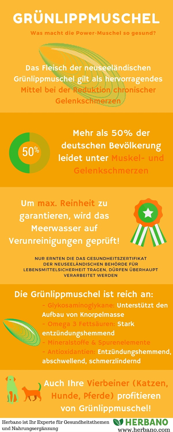 Etwa die Hälfte der deutschen Bevölkerung leidet bereits unter regelmäßigen Muskel- und Gelenkschmerzen.