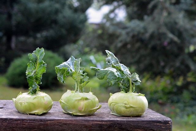 Kohlrabi