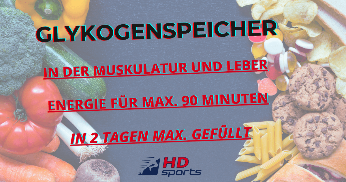 Ein Glykogenspeicher kann in etwa 2 Tagen vollständig aufgefüllt werden.