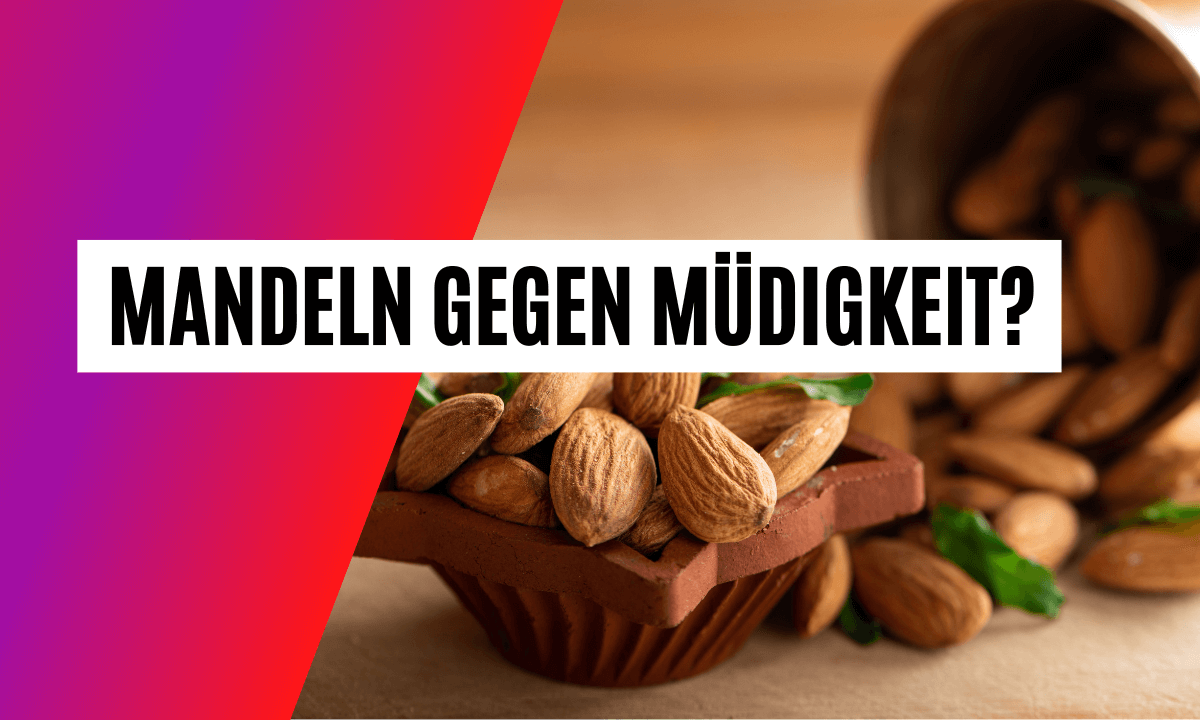 Regeneration nach dem Sport: Reduzieren Mandeln die Müdigkeit?