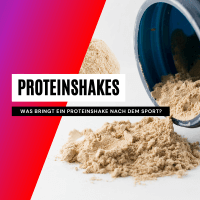 Günstige Proteinshakes nach dem Training