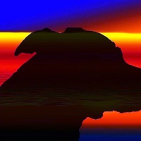 Unfassbar: Kampfhund tötete Läuferin