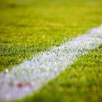 Der Videoschiedsrichter sorgt für Kontroversen 