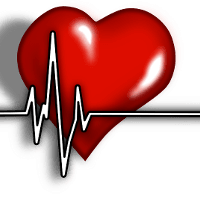 Mehr tödliche Herzinfarkte während eines Marathons - aber nicht bei den Läufern!