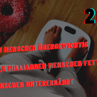 Fast 50 % der Menschen im Jahr 2050 übergewichtig!