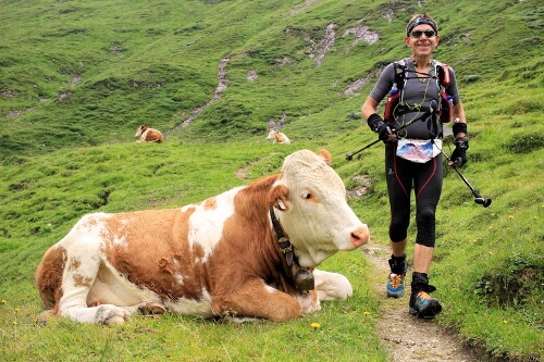 Foto (C) Stephan Repke