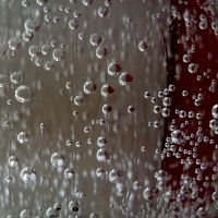 Foto (C) Sabine Koriath / pixelio.de