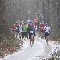 Foto (C) Peter Hofbauer