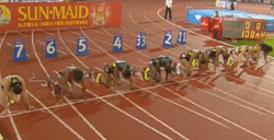 Diamond League Stockholm