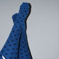 Foto (C) Meddy Garnet