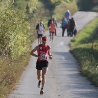 Poysdorfer Winzerlauf