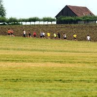 Ruppersthaler Weintraubenlauf 2015