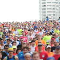 Diese 42 Fakten solltest du zum Vienna City Marathon wissen.