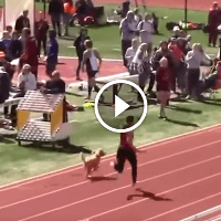 Hund läuft Leichtathletik