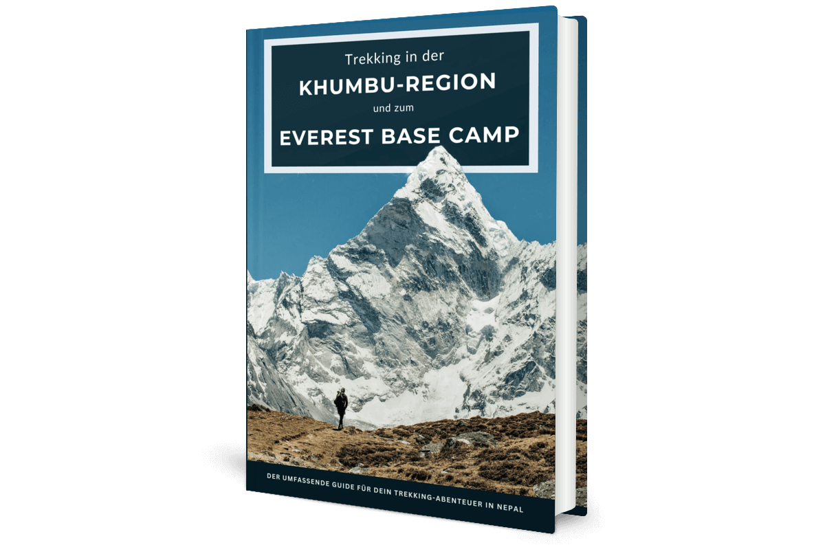 Das große Laufbuch der Trainingspläne