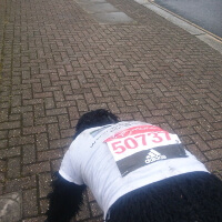 Marathon seit 3 Tagen beendet - einer kriecht noch immer