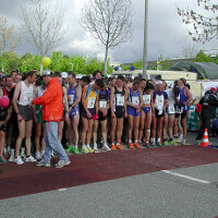Junge Läuferin stirbt bei Regensburg Marathon