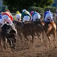 Pferderennen