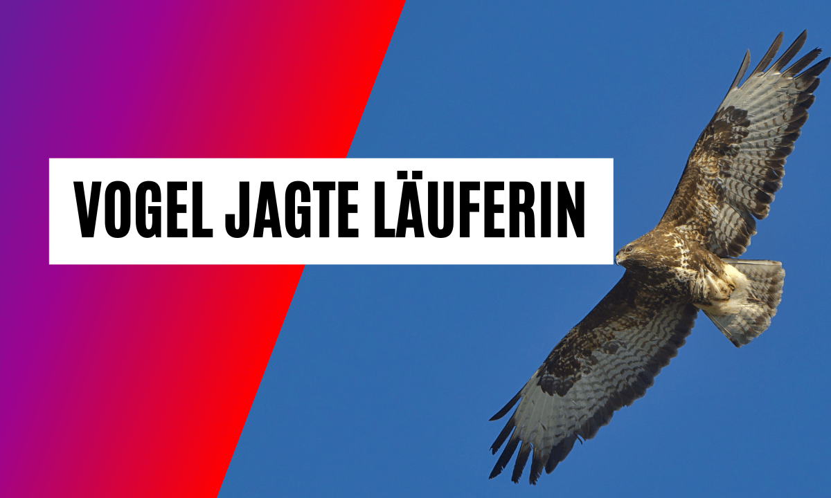 Schreckmoment: Spitzenläuferin von Vogel angegriffen