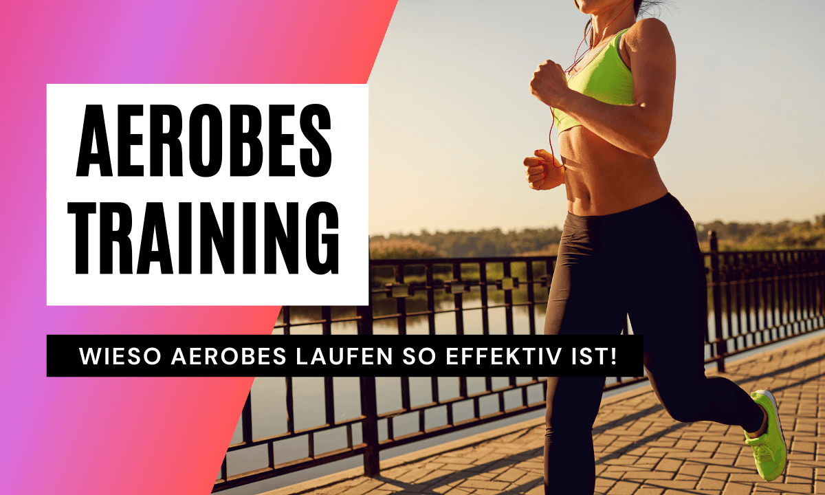 Aerobes Training 1200