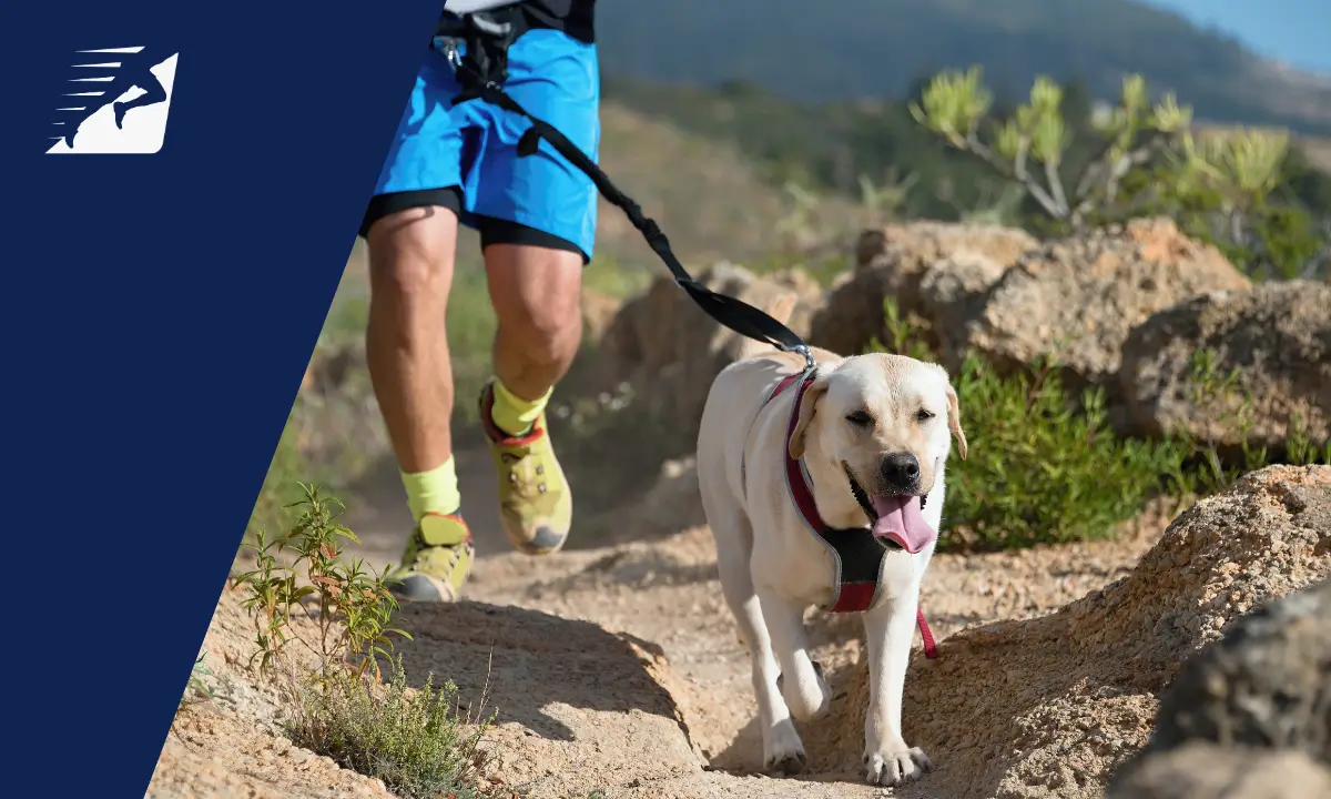 Canicross - ein Mann beim Laufen auf Trails mit seinem Hund.