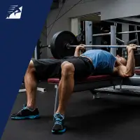 Grundübungen für das Krafttraining