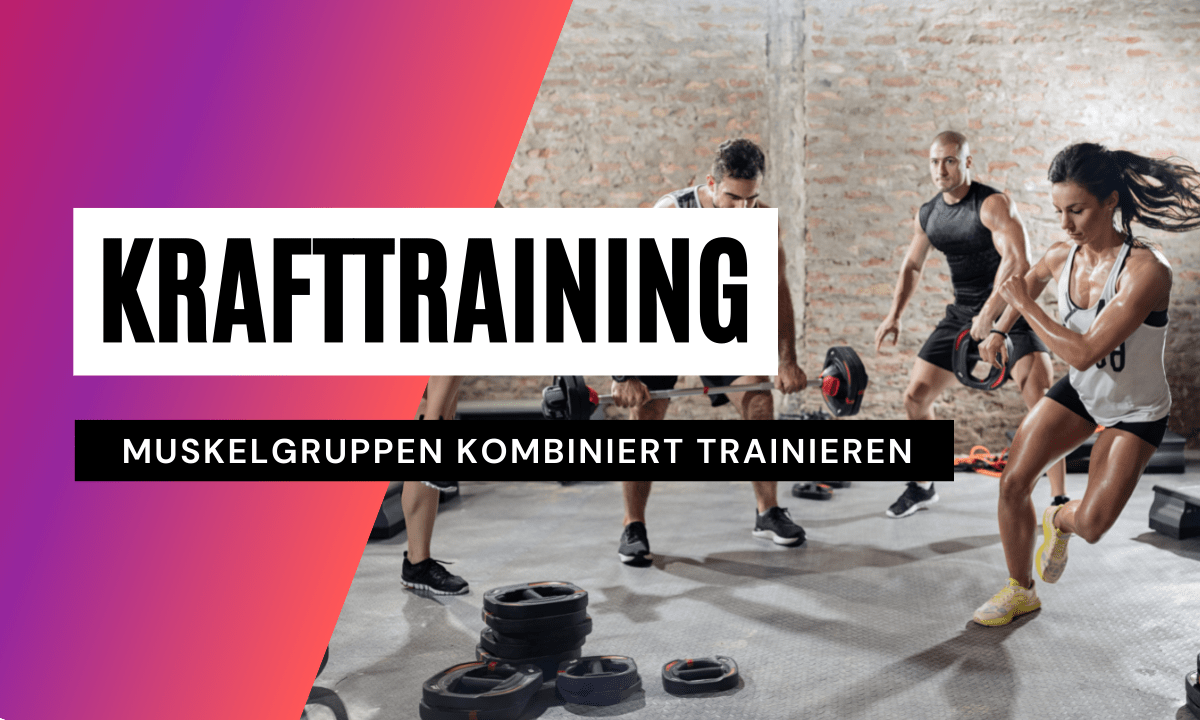 Krafttraining: Welche Muskelgruppen kombinieren?