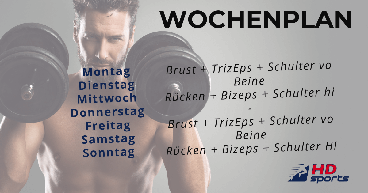 Wochenplan Krafttraining Muskelgruppen