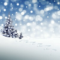 Winter Landschaft im Schnee