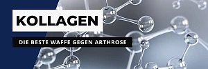 Schützt Kollagen vor Arthrose?