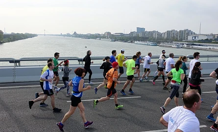 Läufer beim Wien Marathon