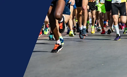 Tb W445 H270 Cut Int 69664ca6f59f0b64fa3842265a1e3525