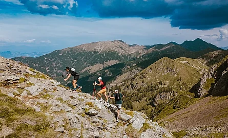 Tb W445 H270 Cut Int A1440f63eac06242999826fdfbe39425