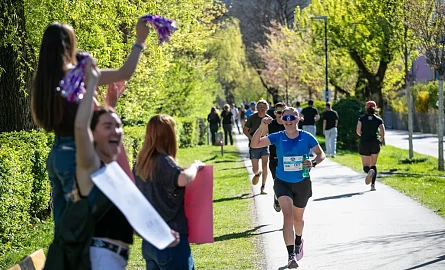 TirolMilch Frühlingslauf Innsbruck 2026