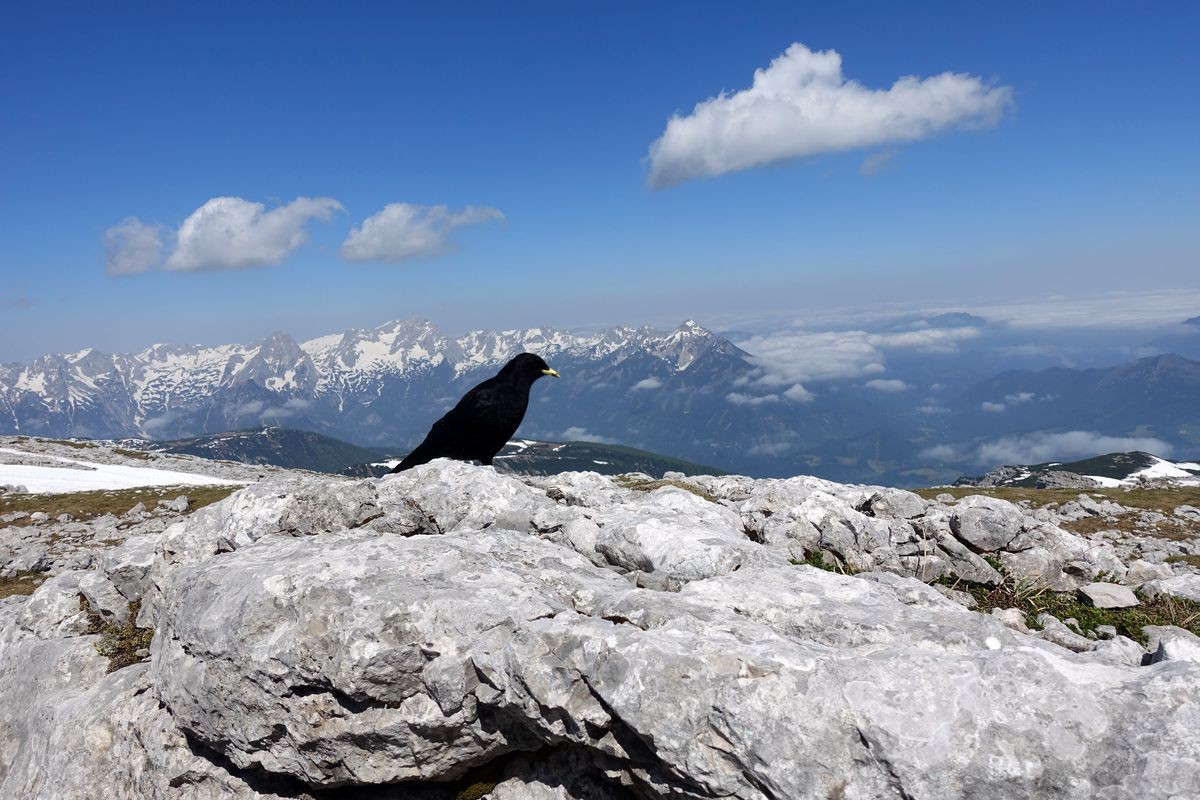 Schönsten Bergtouren in Oberösterreich