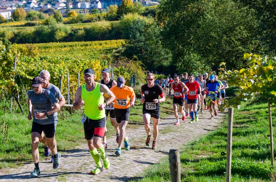 Bad Dürkheimer Berglauf