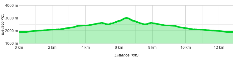 Höhenprofil Acherkogel Normalweg / Nordflanke (einfachster Weg)