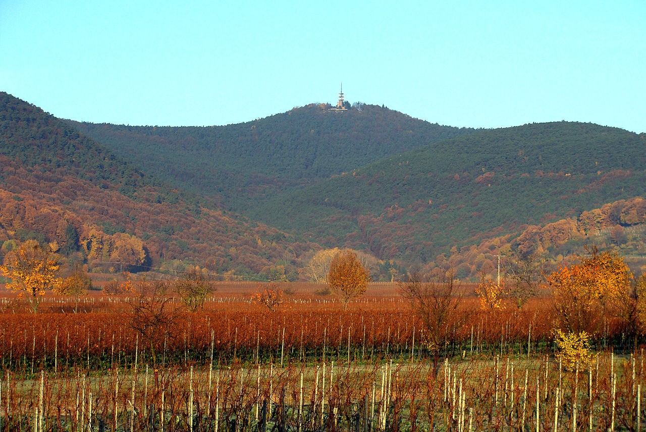 Die höchsten Berge im Pfälzerwald