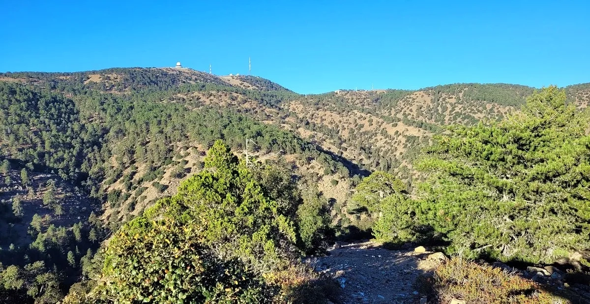 OlympusMan Trail Run 2024