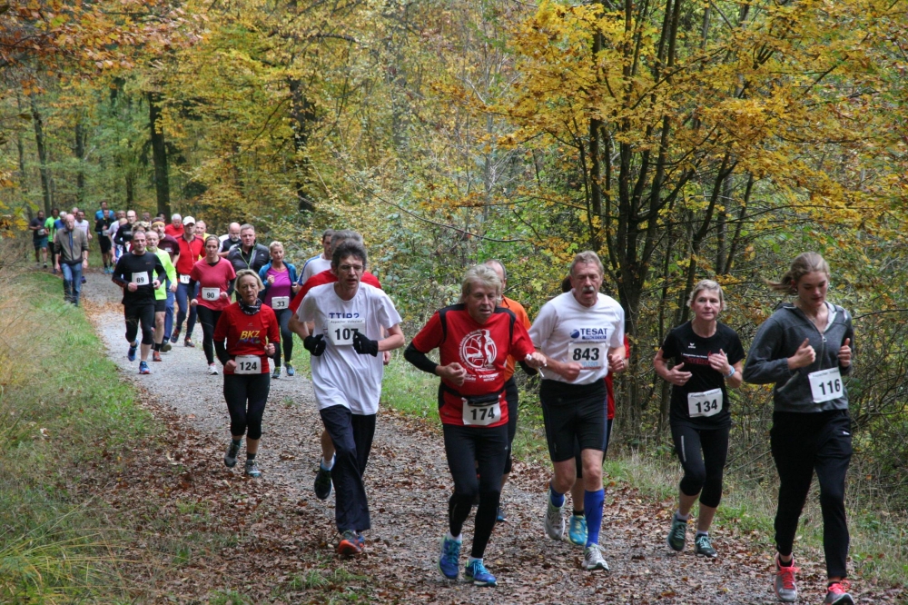 Laufcup Schwäbisch-Fränkischer Wald