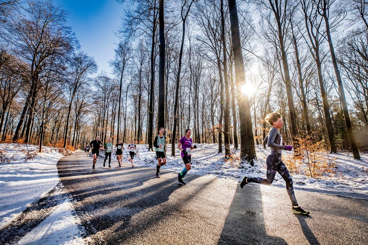 Snow guaranteed at the Midwinter Marathon Apeldoorn
