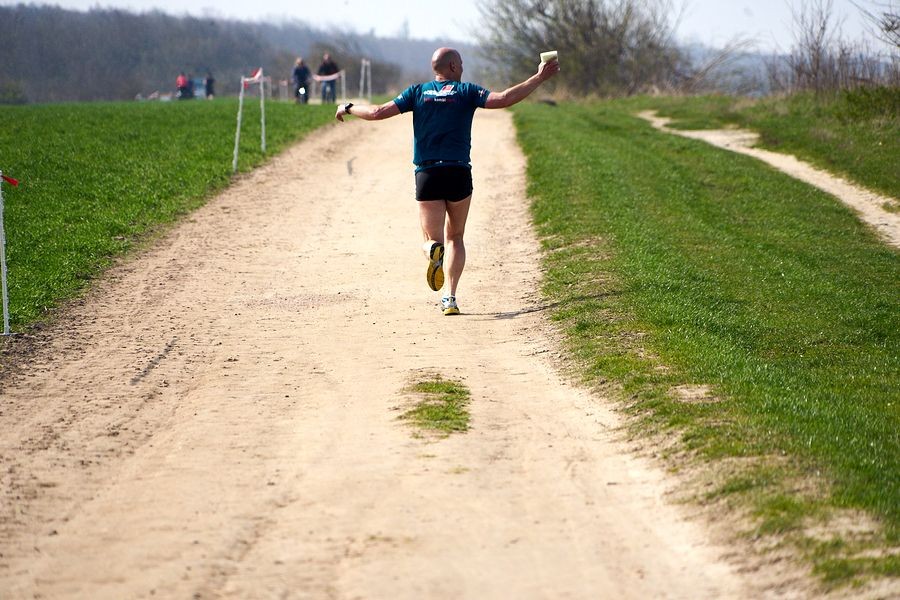 Beim Darss-Marathon wird in der Natur gelaufen. Foto: © Veranstalter Darss-Marathon