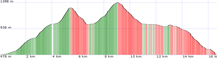 Topo und Höhenprofil Reisalpe