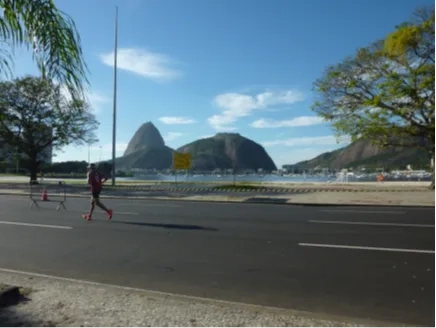Rio de Janeiro Marathon