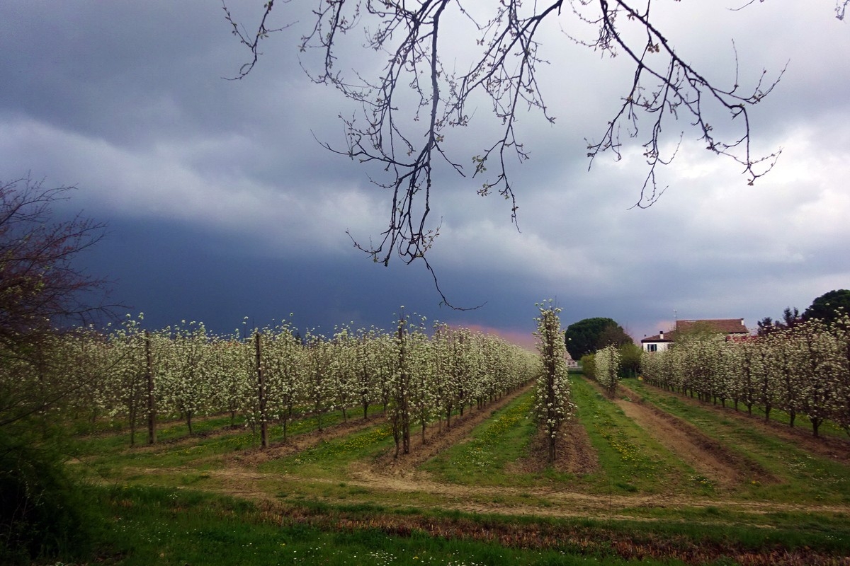 Maratona Del Lamone 20 1680557971