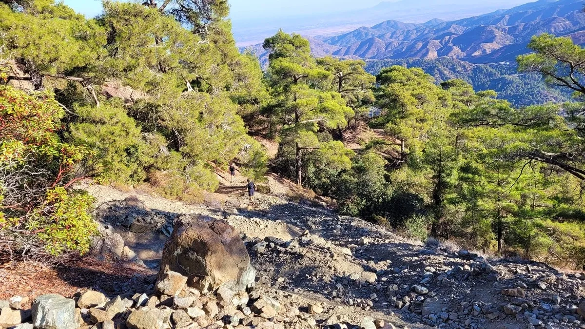 OlympusMan Trail Run 2024