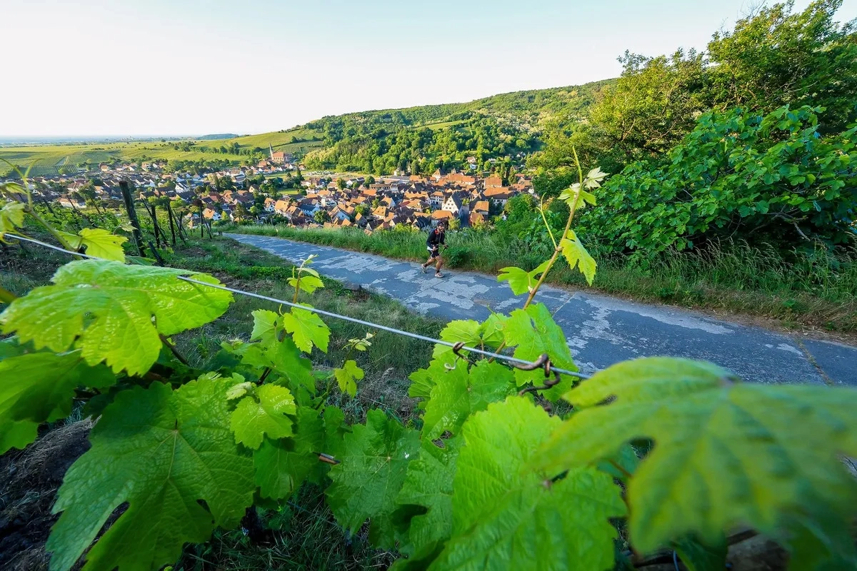 Trail Alsace Grand Est